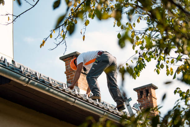 Best Storm Damage Roof Repair  in Crete, IL