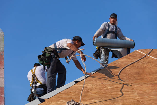 Best Storm Damage Roof Repair  in Crete, IL